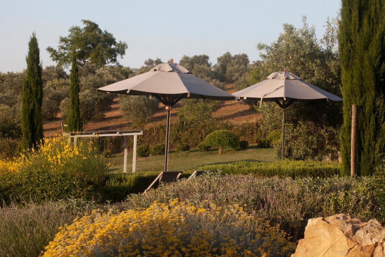 Casale Sterpeti Bed & Breakfast Magliano in Toscana Bagian luar foto