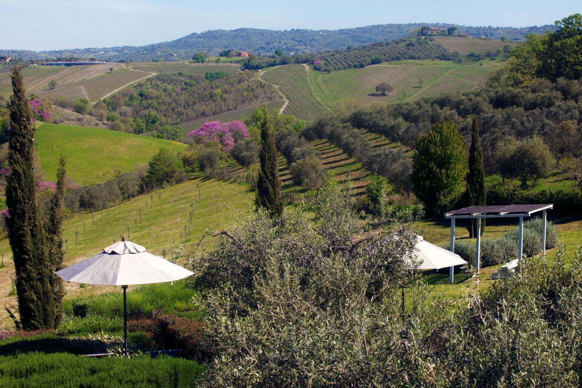 Casale Sterpeti Bed & Breakfast Magliano in Toscana Bagian luar foto