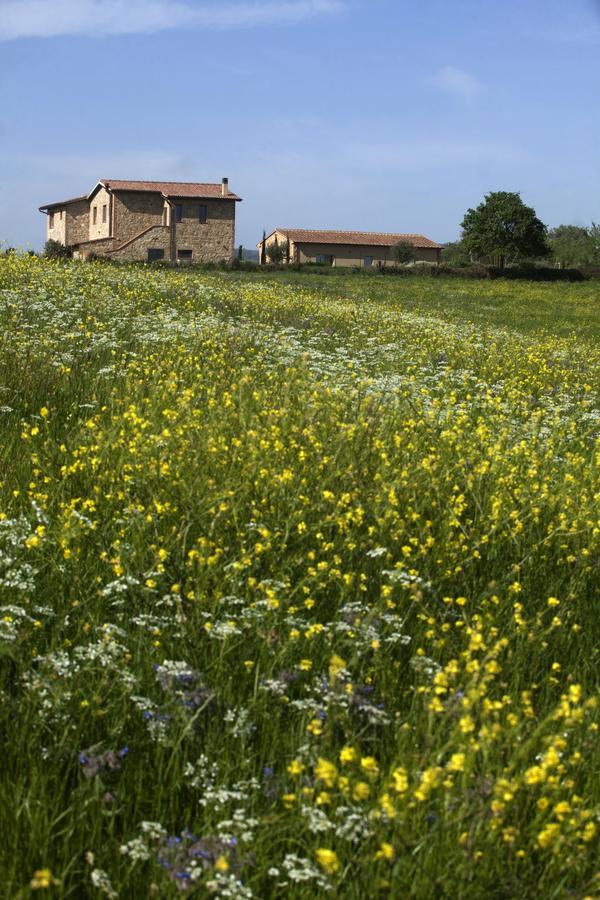 Casale Sterpeti Bed & Breakfast Magliano in Toscana Bagian luar foto