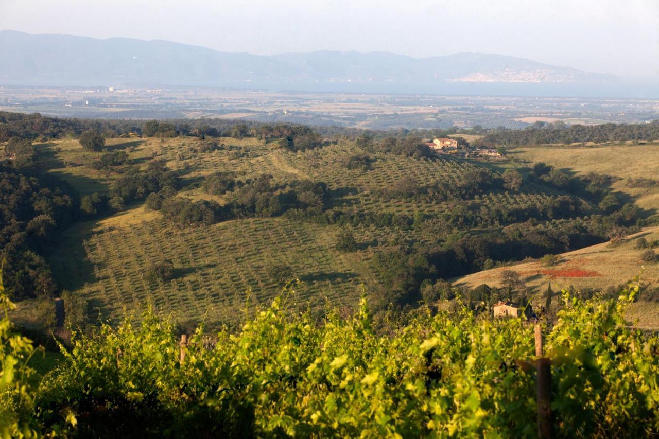 Casale Sterpeti Bed & Breakfast Magliano in Toscana Bagian luar foto
